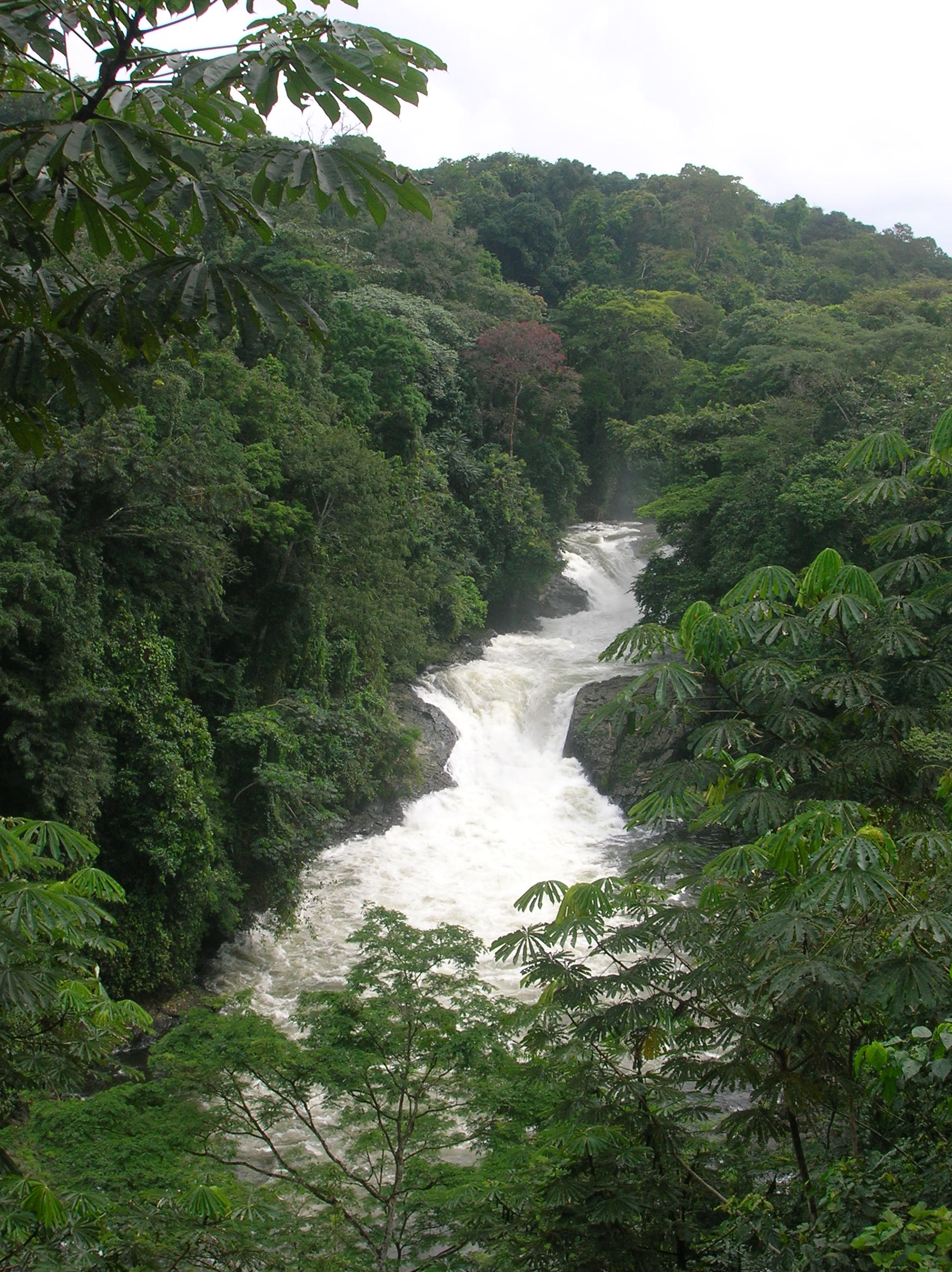 Cross River National Park, Akamkpa, Cross River State