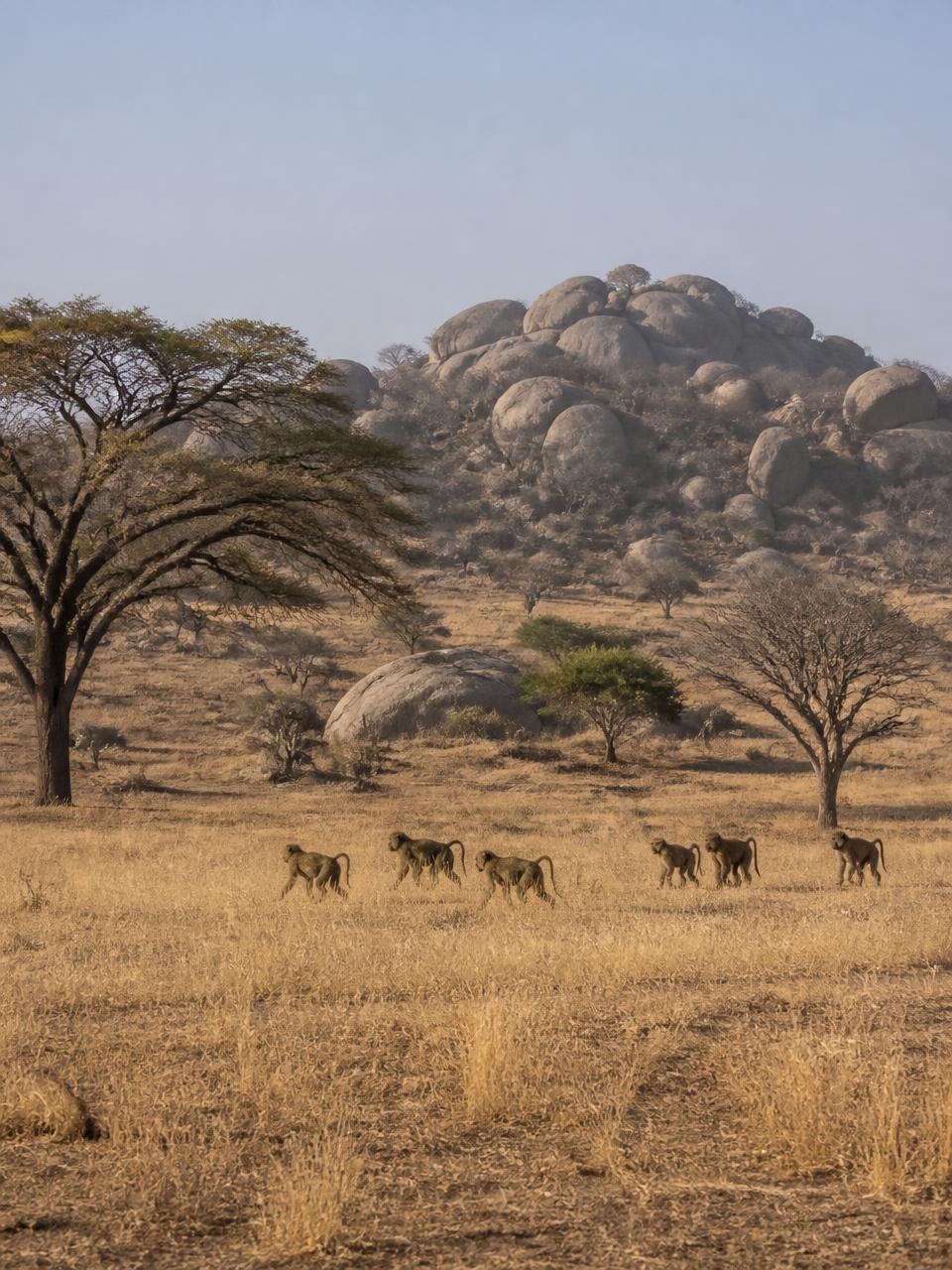 Shai Hills, Ghana