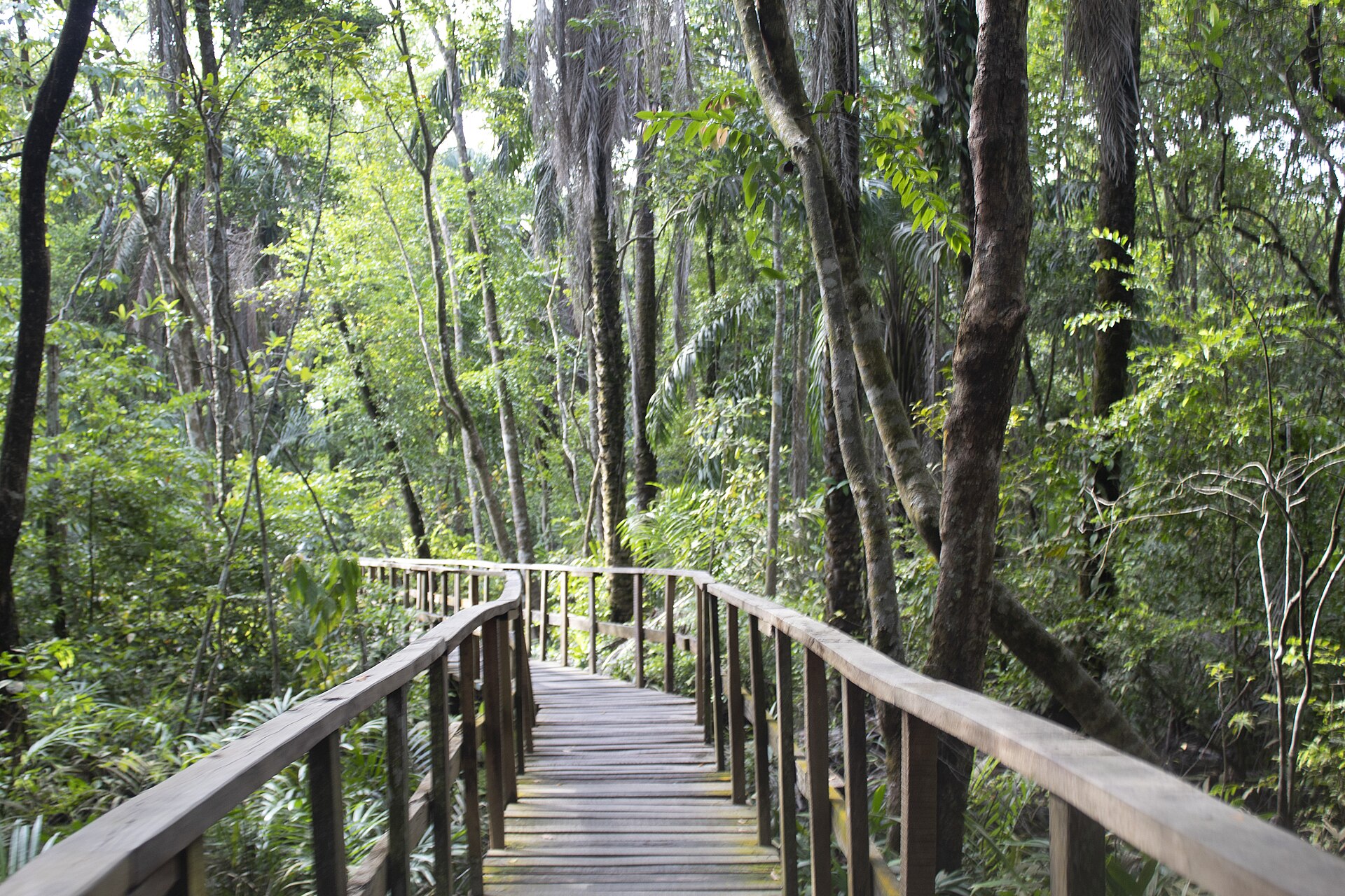 Lekki Conservation Centre, Lekki, Lagos State